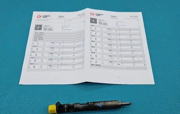 Renault Megane II Fuel injector EJBR01801A IMPRK1439434