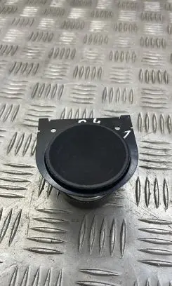 Panel speaker