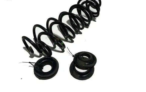 Toyota C-HR I Rear coil spring 48231F4071 20948