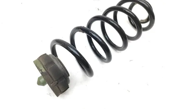 Rear coil spring