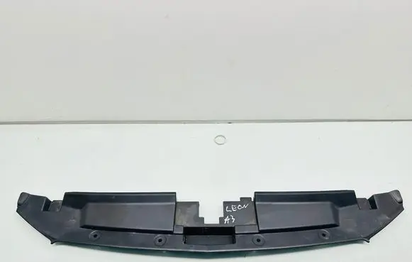 Engine bonnet/hood lock trim molding