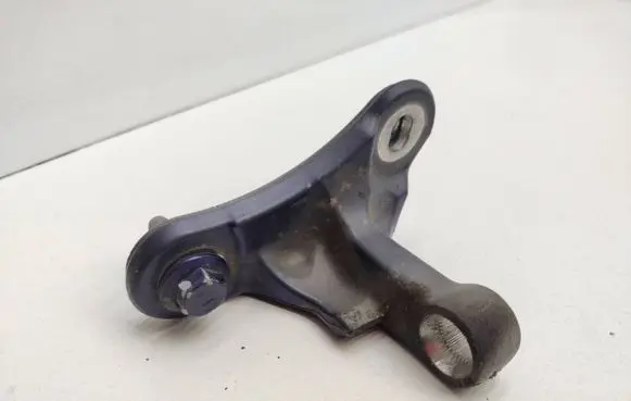 Infiniti Q30 Rear door lower hinge A046572