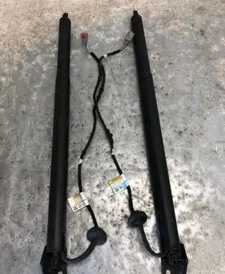 Ford Kuga III Tailgate strut LV4BS402A55 LV4BS402A54