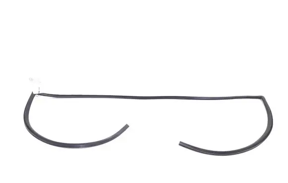 Toyota RAV 4 (XA40) Rubber seal front coupe door window 7553342060