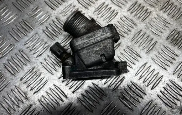 Thermostat/thermostat housing