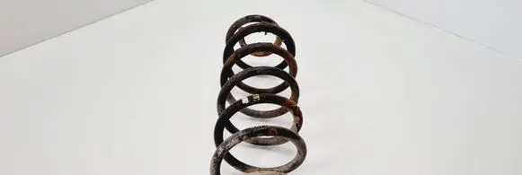 Volkswagen Golf V Rear coil spring