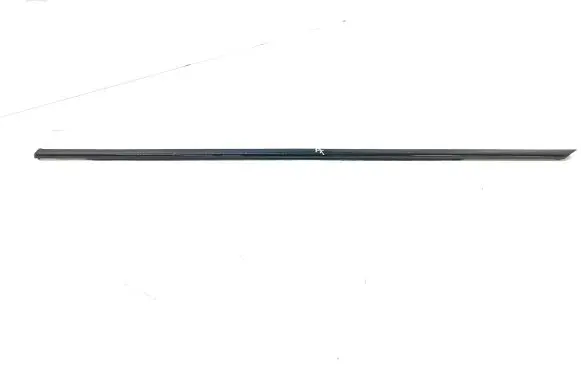 Citroen DS5 Front door glass trim molding