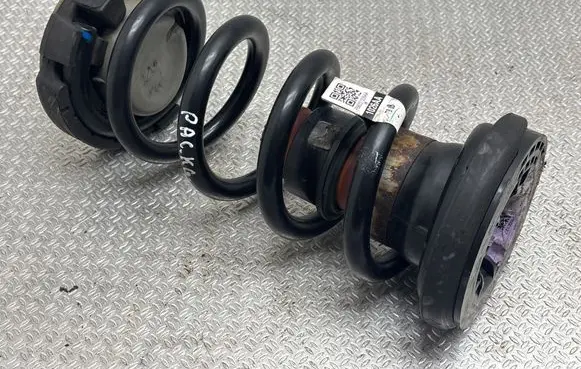 Rear coil spring