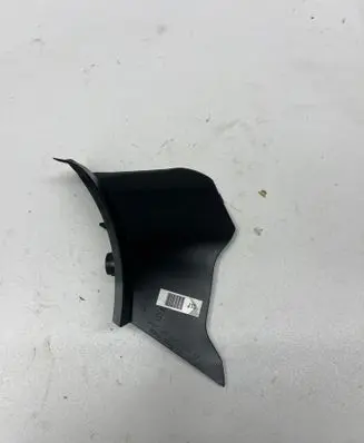 Rear/tail light trim molding