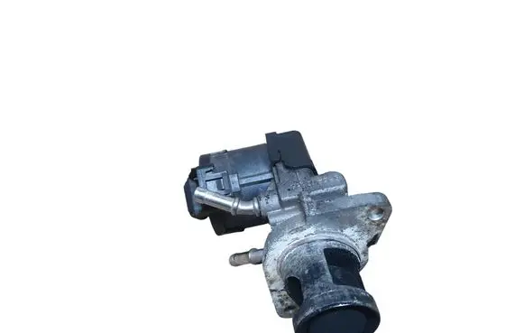 EGR valve