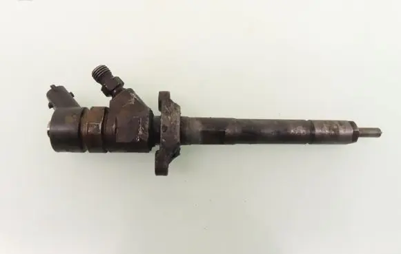 Ford Focus Fuel injector 0445110259