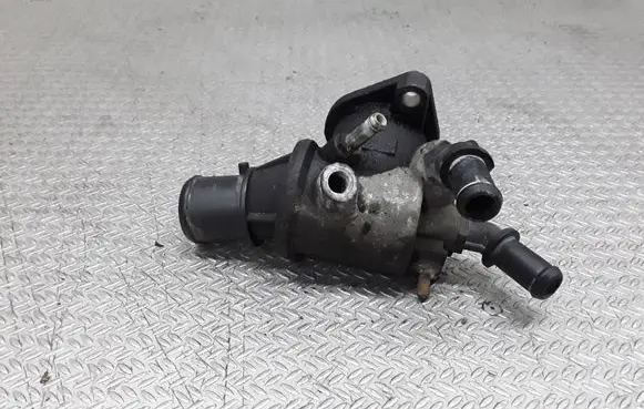 Thermostat/thermostat housing