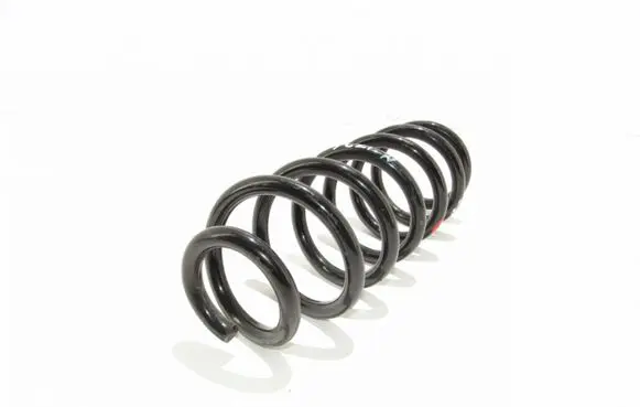 Nissan Qashqai Rear coil spring