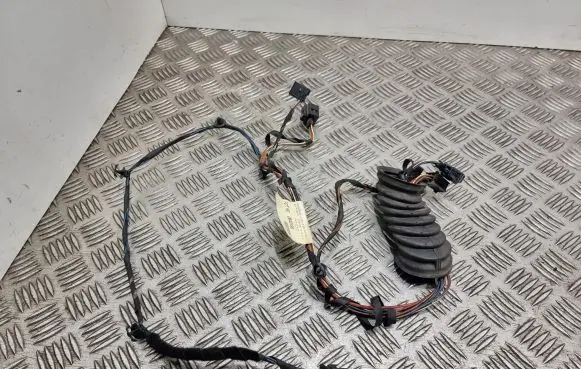Front door wiring loom