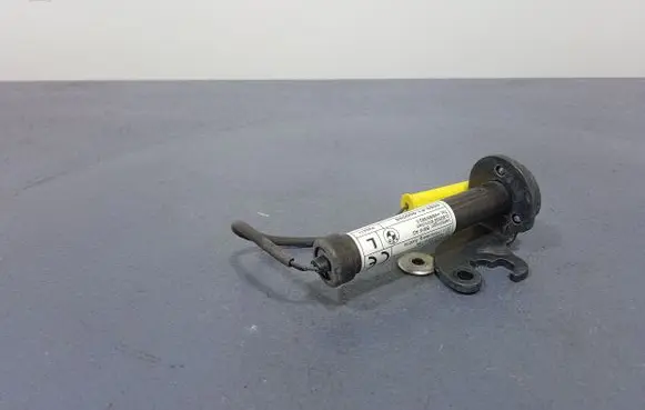 BMW 6 F12 F13 Engine bonnet/hood hinges 7263055