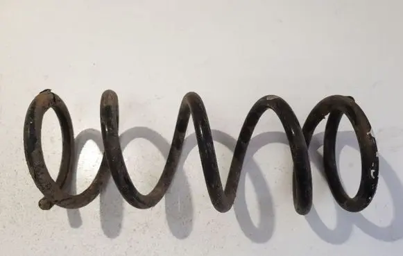 Rear coil spring