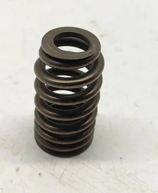 Dodge Challenger Valve spring 5037382BC