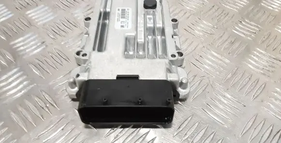Hyundai Santa Fe Other control units/modules 0260003693