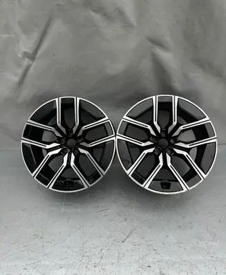 R20 alloy rim