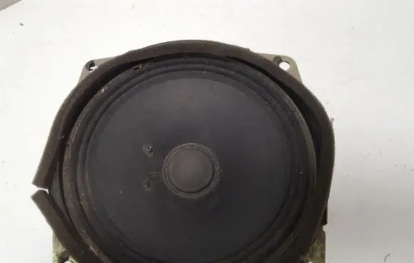 Front door speaker