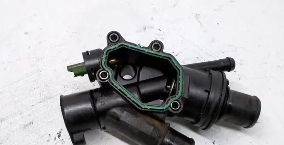 Thermostat/thermostat housing