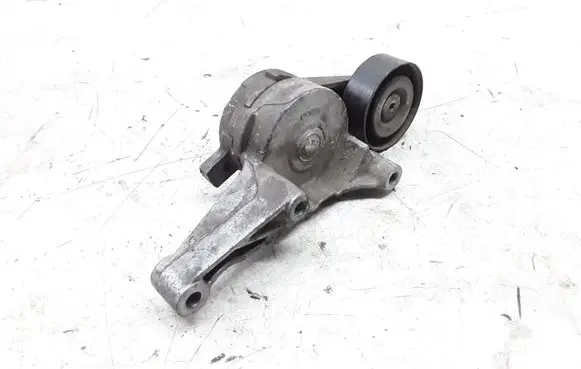 Skoda Octavia Mk2 (1Z) Timing belt tensioner 950371
