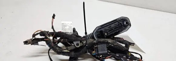BMW X6 E71 Front door wiring loom 9203113 924207001