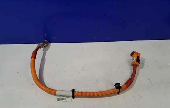 Polestar 2 Plug wire 32266022