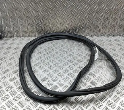 Volkswagen PASSAT B8 Rubber seal front coupe door 3G0867911 3G0867911K