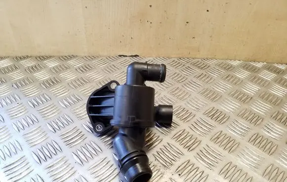 Thermostat/thermostat housing