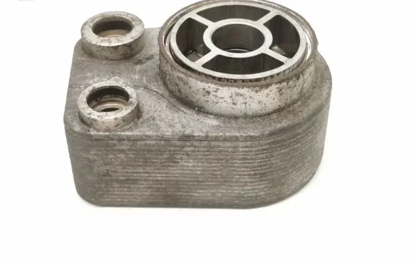Renault Kangoo II Oil filter mounting bracket 779744