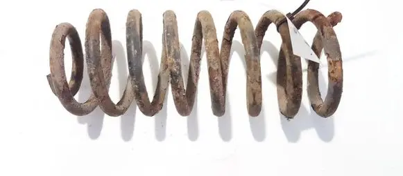 Volkswagen New Beetle Rear coil spring