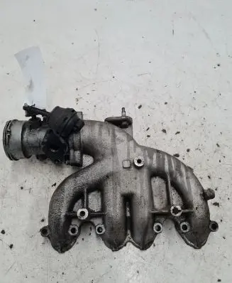 Volkswagen PASSAT B5 Intake manifold 038129713