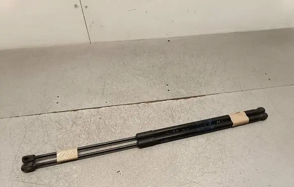 Opel Insignia B Tailgate/trunk strut/damper 39122135 4199510470N