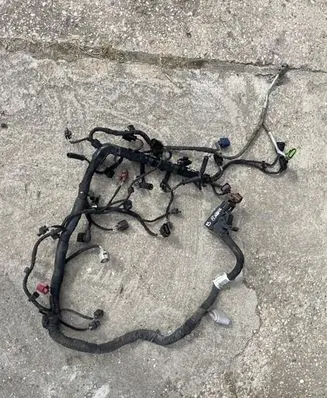 Engine installation wiring loom