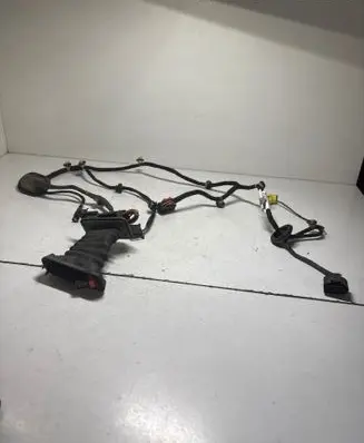 Volkswagen PASSAT B6 Front door wiring loom 3C1971120CC