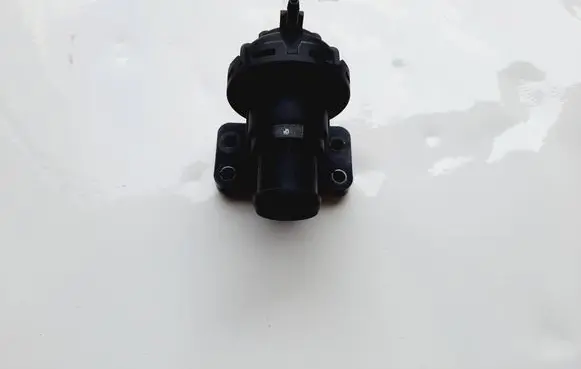 KIA Stinger Vacuum valve 