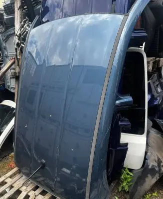 Fiat 500X Roof 