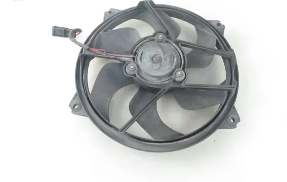 Citroen C4 I Fan set 