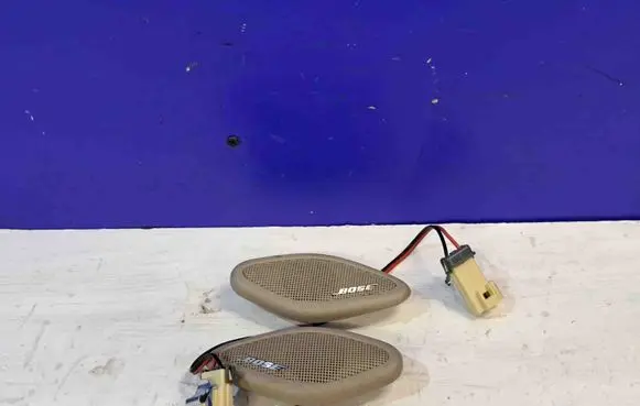 Panel speaker