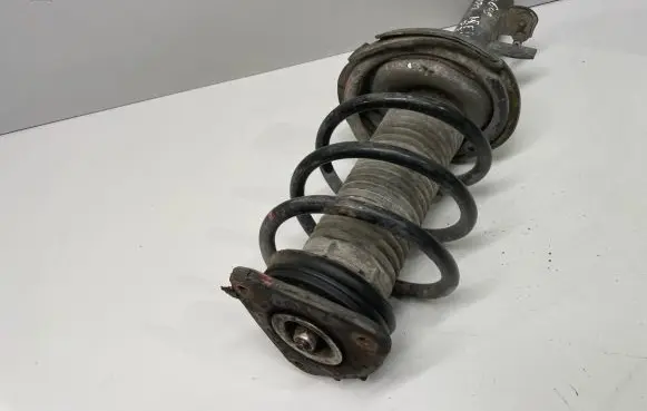 Ford Focus Front shock absorber with coil spring 824903016915