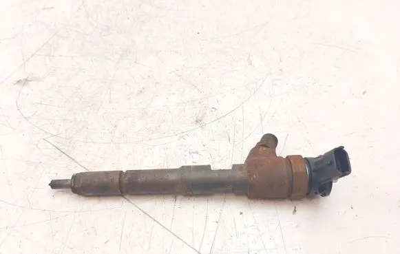 Nissan NV200 Fuel injector H8201108033 0445110485