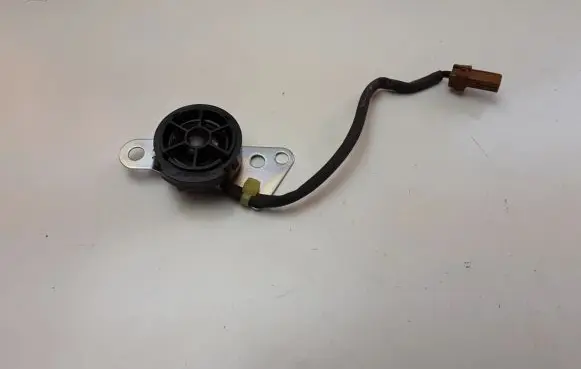 Panel speaker