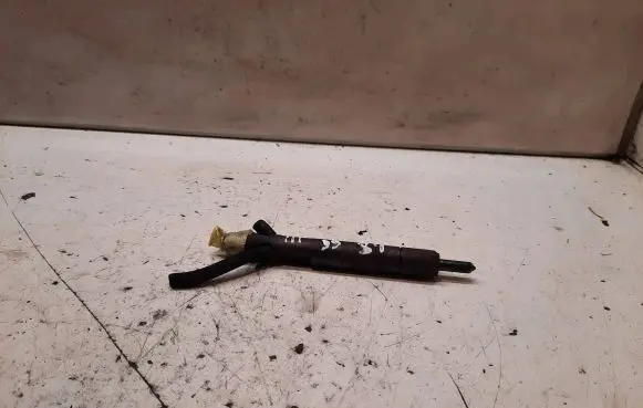 Ford Focus Fuel injector