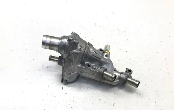 Thermostat/thermostat housing