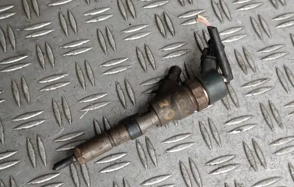 Citroen Xsara Picasso Fuel injector 0445110076