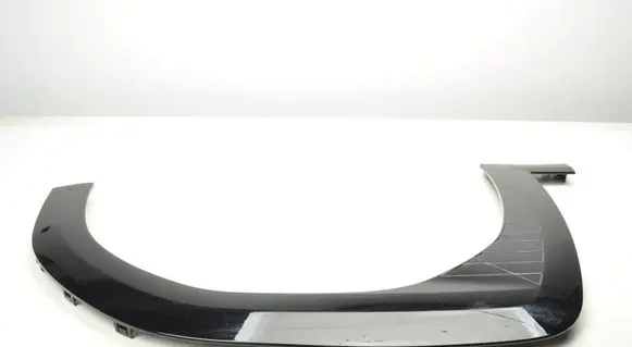 Mini Aceman Fender trim (molding) 5006123XNY03A