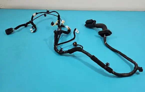 Hyundai i20 (BC3 BI3) Front door wiring loom 91604-Q0070 IMPRK1515114