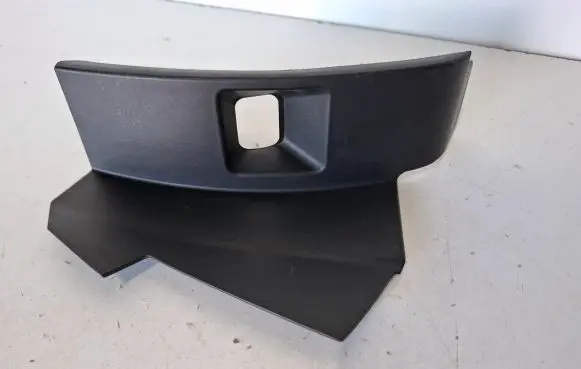 Rear/tail light trim molding