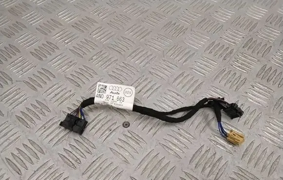 Audi A8 S8 D5 Other wiring loom 4N0971663